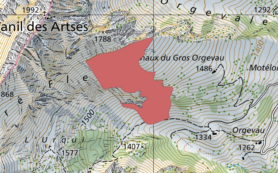 Landeskarte swisstopo mit dem Schutzperimeter von Orgevaux (Trockenwiese)