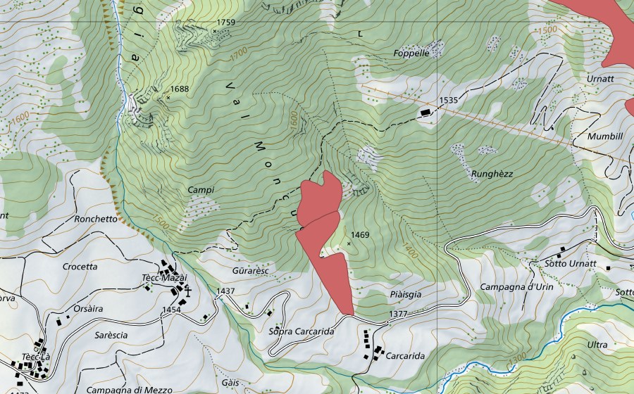 Landeskarte swisstopo mit dem Schutzperimeter von Orsàira di Fuori (Trockenwiese)