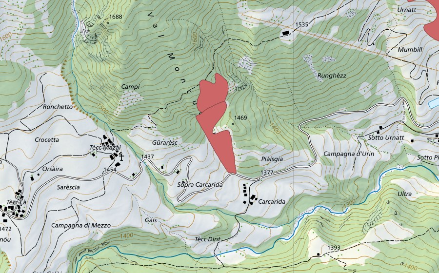 swisstopo national map showing the protected perimeter of Orsàira di Fuori (Dry meadow)