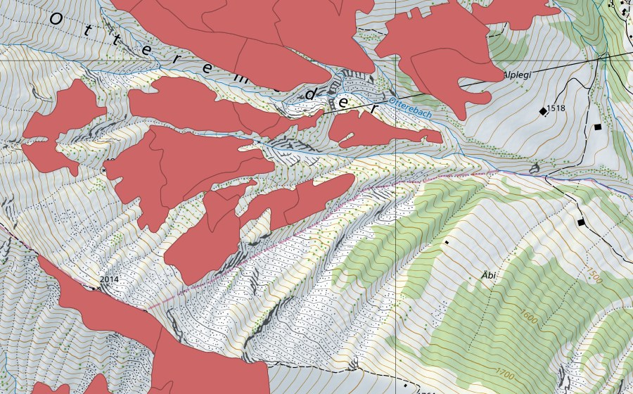 swisstopo national map showing the protected perimeter of Otteremeder (Dry meadow)