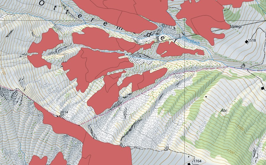 swisstopo national map showing the protected perimeter of Otteremeder (Dry meadow)
