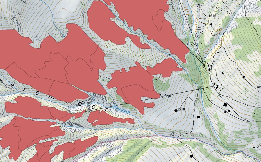 swisstopo national map showing the protected perimeter of Otteremeder (Dry meadow)