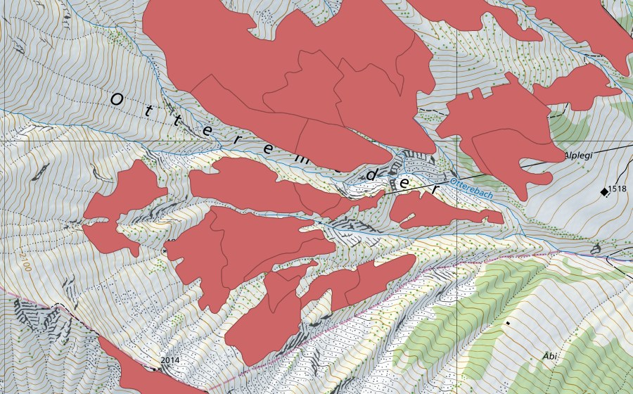 Landeskarte swisstopo mit dem Schutzperimeter von Otteremeder (Trockenwiese)