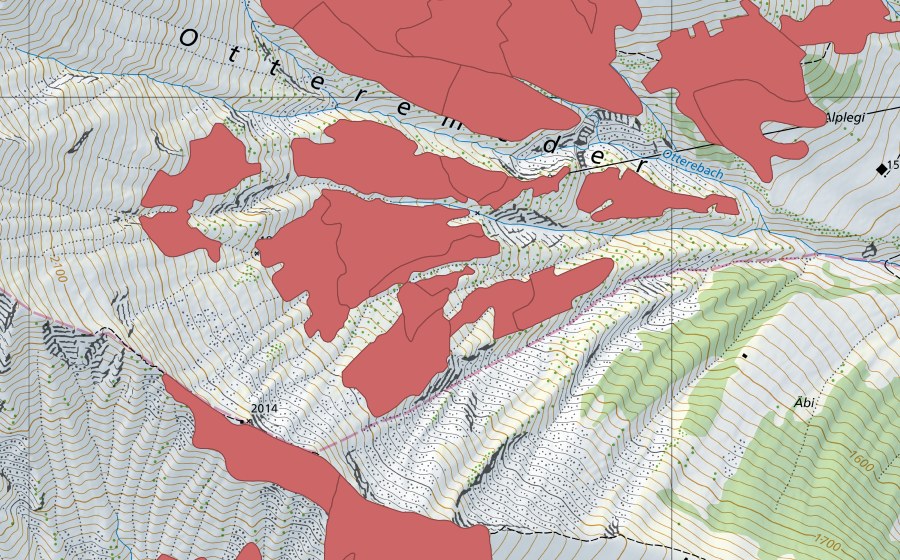 swisstopo national map showing the protected perimeter of Otteremeder (Dry meadow)