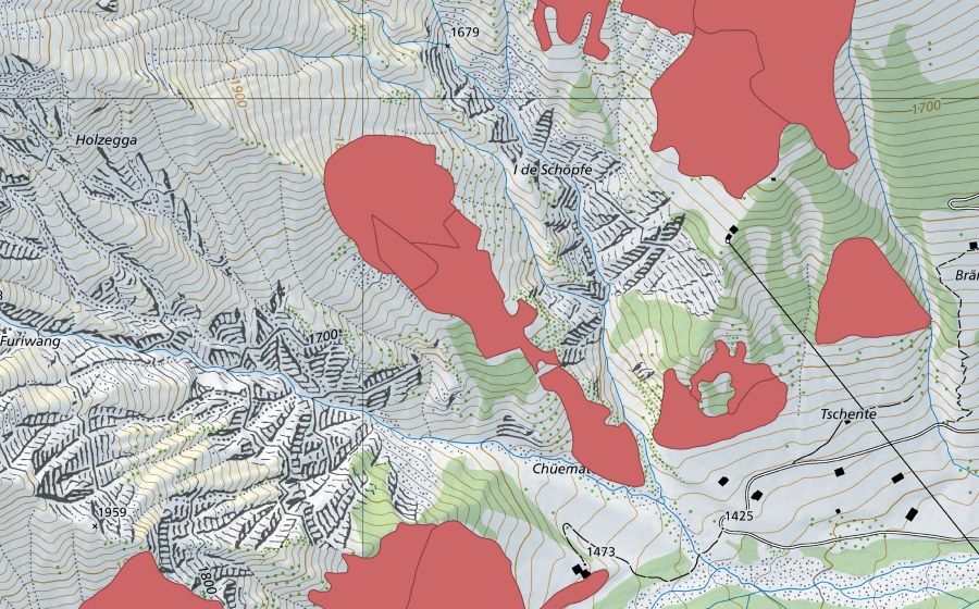 swisstopo national map showing the protected perimeter of Otteremeder (Dry meadow)
