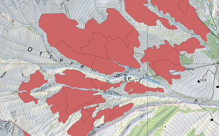 Carta nazionale swisstopo con il perimetro protetto di Otteremeder (Prato secco)