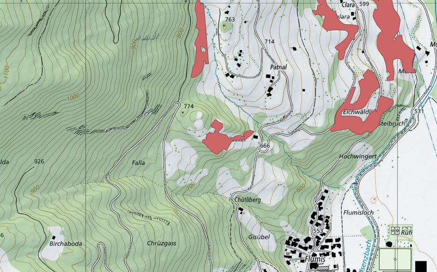 swisstopo national map showing the protected perimeter of Padnal (Dry meadow)