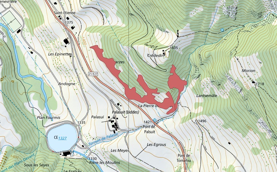 Landeskarte swisstopo mit dem Schutzperimeter von Palasuit (Trockenwiese)