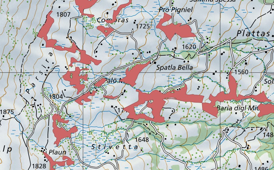 swisstopo national map showing the protected perimeter of Paliu Mala (Dry meadow)