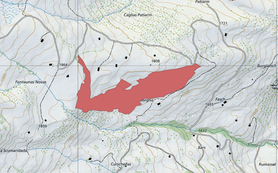 Landeskarte swisstopo mit dem Schutzperimeter von Palorgna (Trockenwiese)