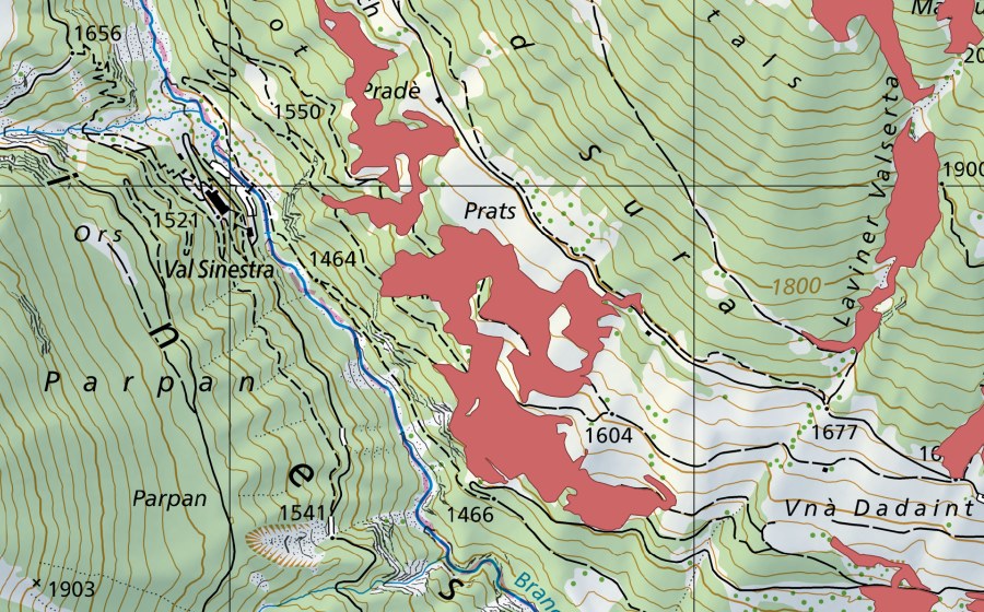Landeskarte swisstopo mit dem Schutzperimeter von Palü (Trockenwiese)