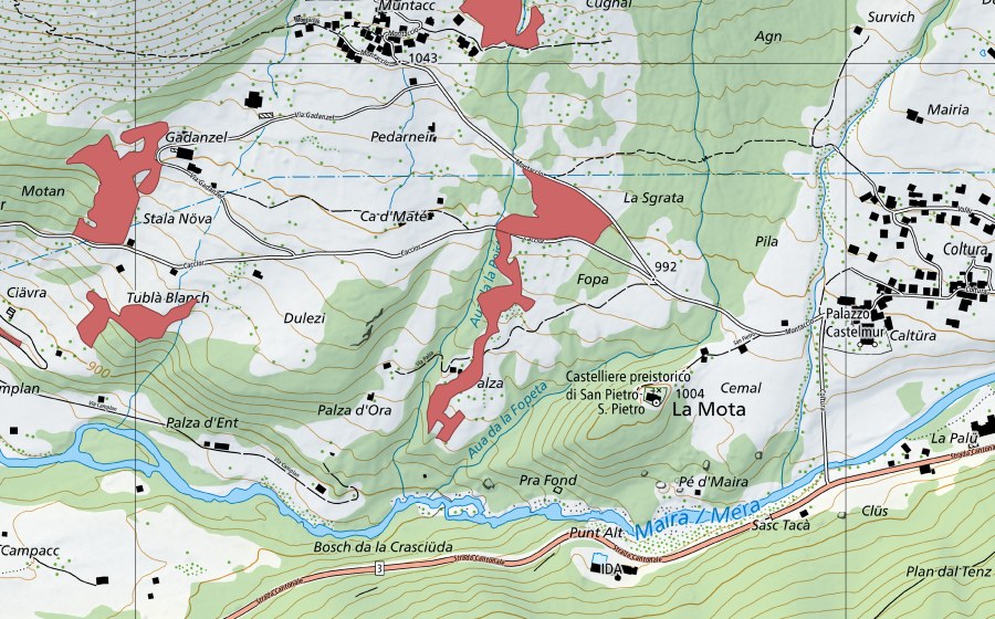 swisstopo national map showing the protected perimeter of Palza (Dry meadow)