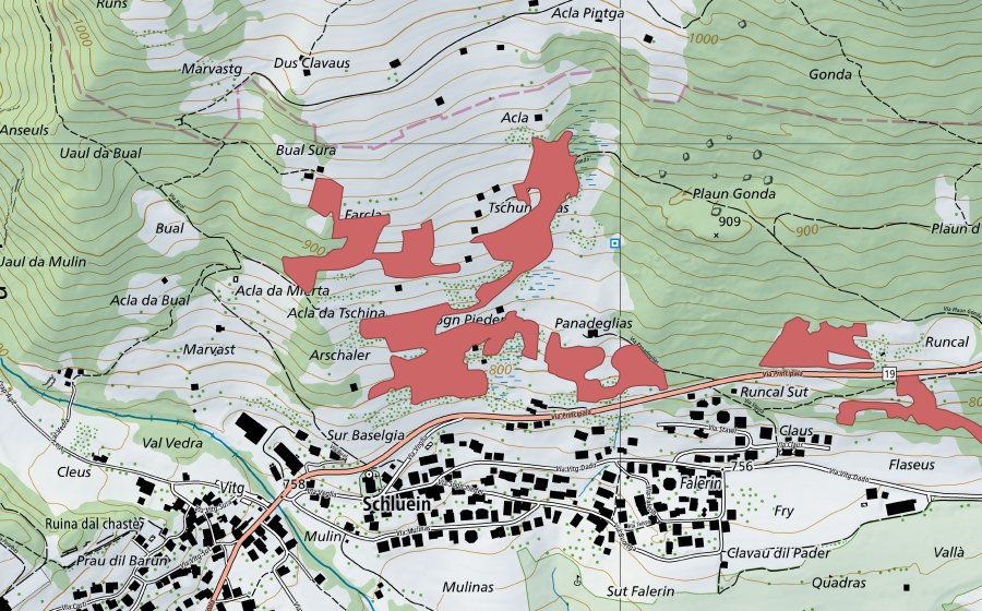 swisstopo national map showing the protected perimeter of Panadeglias (Dry meadow)