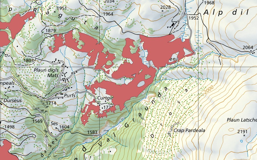 swisstopo national map showing the protected perimeter of Pandatsch (Dry meadow)