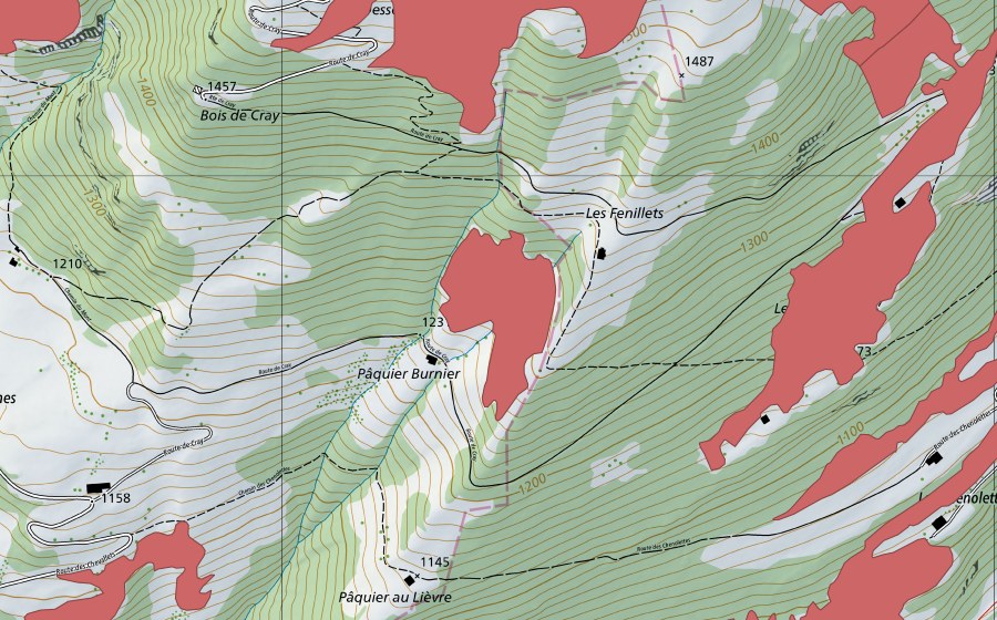 Carte nationale swisstopo avec le périmètre protégé de Pâquier Burnier (Prairie sèche)