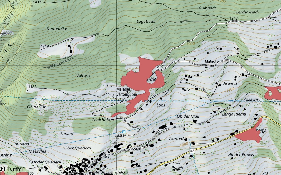 swisstopo national map showing the protected perimeter of Pardäls (Dry meadow)