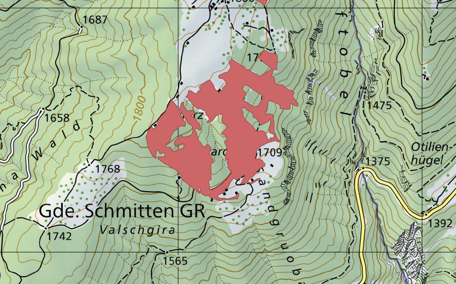 Landeskarte swisstopo mit dem Schutzperimeter von Pardela (Trockenwiese)