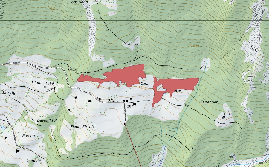swisstopo national map showing the protected perimeter of Pardi (Dry meadow)