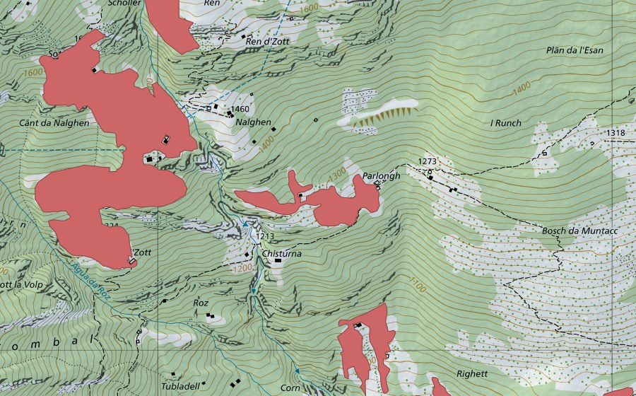 Landeskarte swisstopo mit dem Schutzperimeter von Parlongh (Trockenwiese)