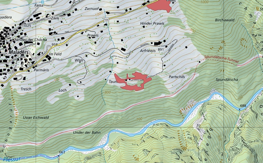 swisstopo national map showing the protected perimeter of Parmäris (Dry meadow)