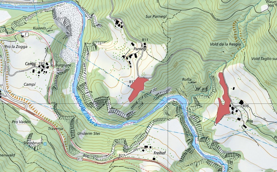 swisstopo national map showing the protected perimeter of Parnegl (Dry meadow)
