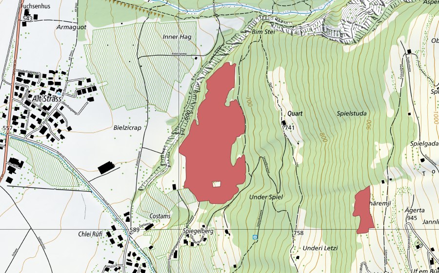 Landeskarte swisstopo mit dem Schutzperimeter von Parvaz (Trockenwiese)