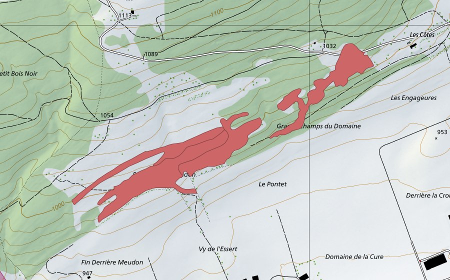 swisstopo national map showing the protected perimeter of Pât. de Meudon (Dry meadow)