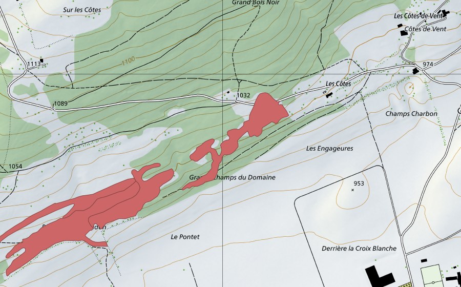 Landeskarte swisstopo mit dem Schutzperimeter von Pât. de Meudon (Trockenwiese)