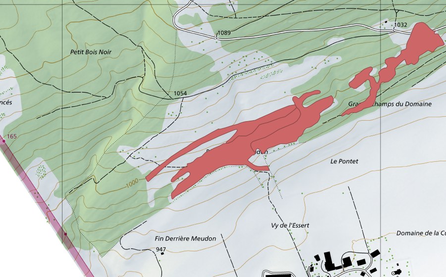 swisstopo national map showing the protected perimeter of Pât. de Meudon (Dry meadow)