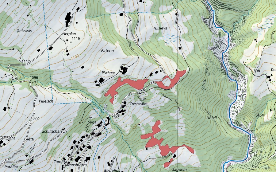 Landeskarte swisstopo mit dem Schutzperimeter von Patenn (Trockenwiese)
