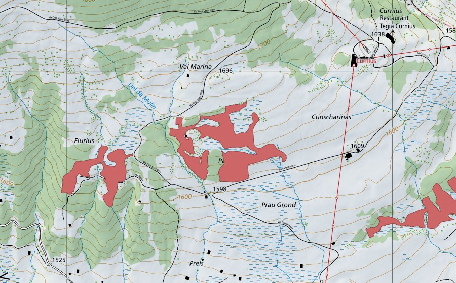 Carte nationale swisstopo avec le périmètre protégé de Paternaus (Prairie sèche)