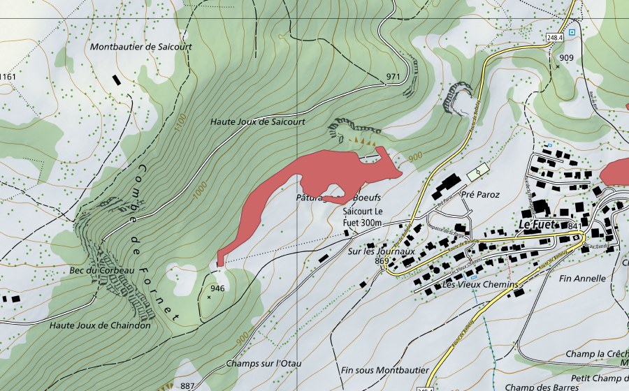 Landeskarte swisstopo mit dem Schutzperimeter von Pâturage aux Bœufs (Trockenwiese)
