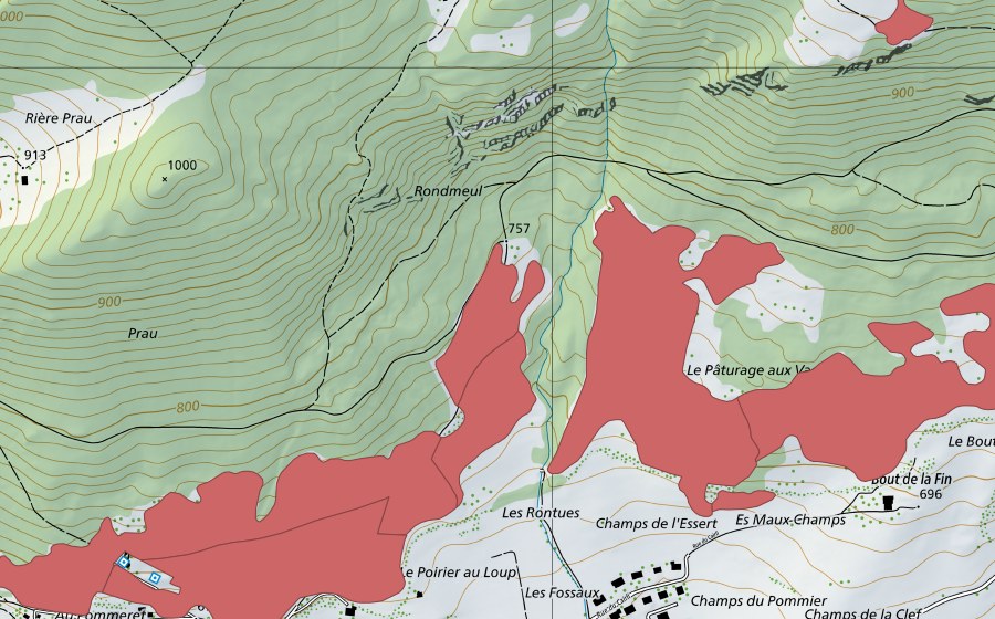 Carte nationale swisstopo avec le périmètre protégé de Pâturage aux Vaches (Prairie sèche)
