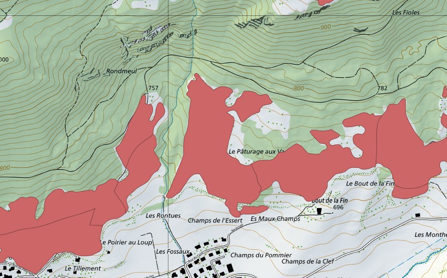 Carte nationale swisstopo avec le périmètre protégé de Pâturage aux Vaches (Prairie sèche)
