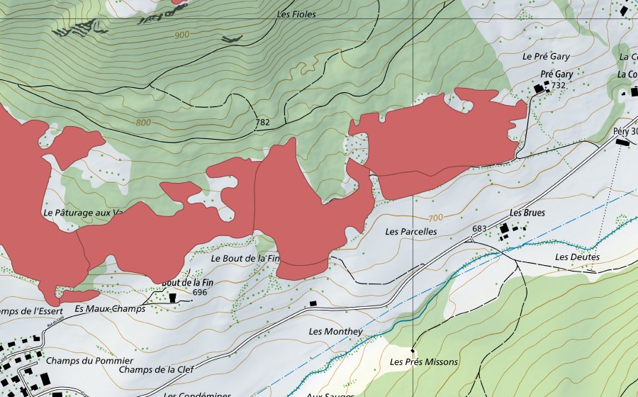 swisstopo national map showing the protected perimeter of Pâturage aux Vaches (Dry meadow)