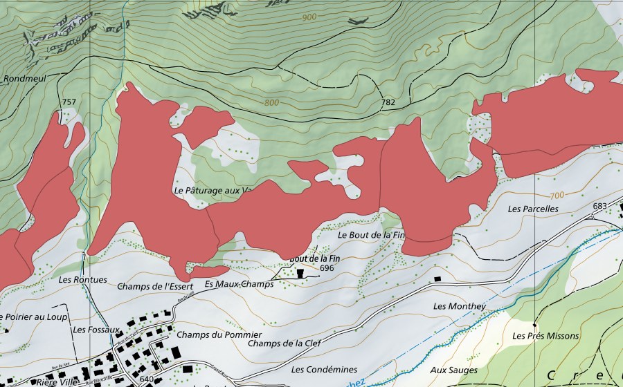Landeskarte swisstopo mit dem Schutzperimeter von Pâturage aux Vaches (Trockenwiese)