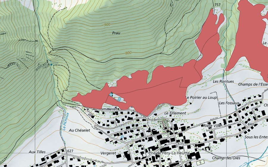 swisstopo national map showing the protected perimeter of Pâturage aux Vaches (Dry meadow)
