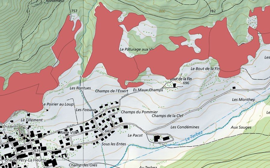 Landeskarte swisstopo mit dem Schutzperimeter von Pâturage aux Vaches (Trockenwiese)