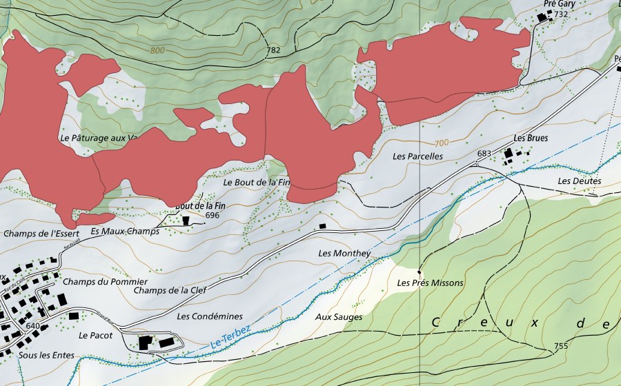 Landeskarte swisstopo mit dem Schutzperimeter von Pâturage aux Vaches (Trockenwiese)