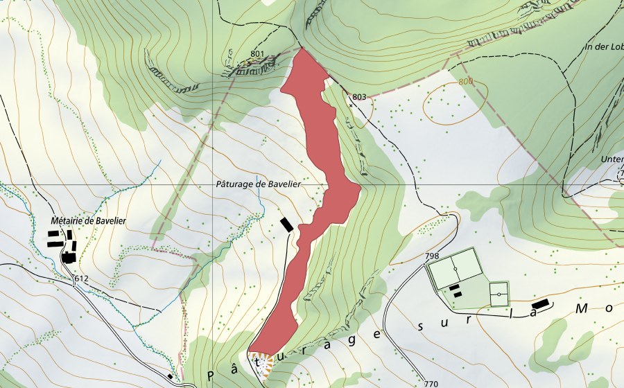 swisstopo national map showing the protected perimeter of Pâturage de Bavelier (Dry meadow)