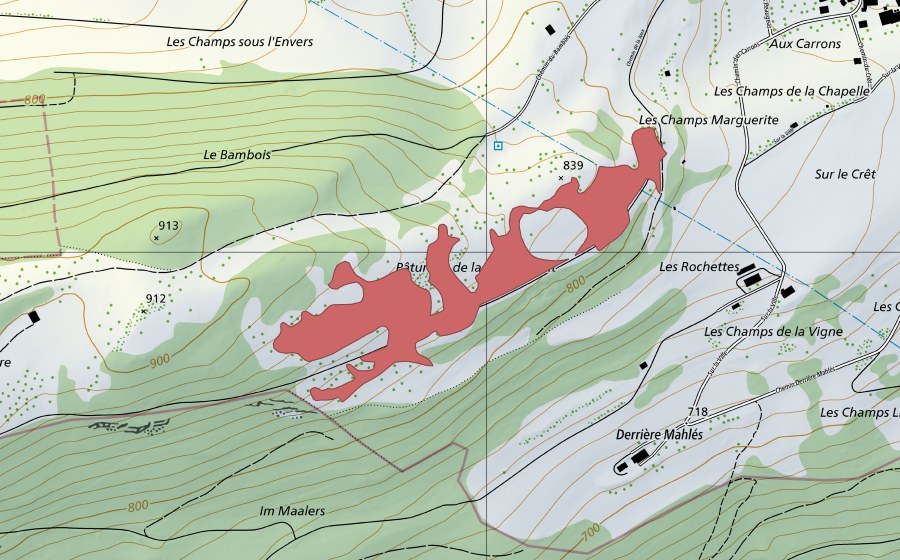 Carte nationale swisstopo avec le périmètre protégé de Pâturage de la Joux devant (Prairie sèche)