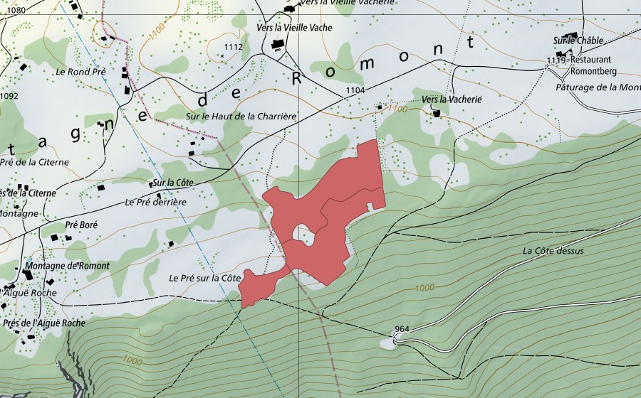 Landeskarte swisstopo mit dem Schutzperimeter von Pâturage de la Montagne (Trockenwiese)