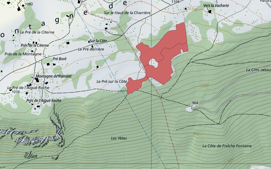 Landeskarte swisstopo mit dem Schutzperimeter von Pâturage de la Montagne (Trockenwiese)