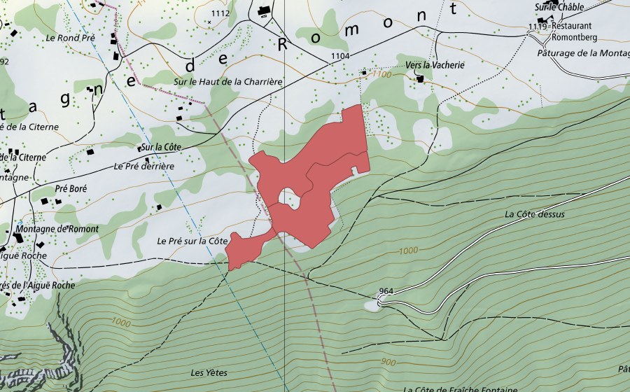 Landeskarte swisstopo mit dem Schutzperimeter von Pâturage de la Montagne (Trockenwiese)