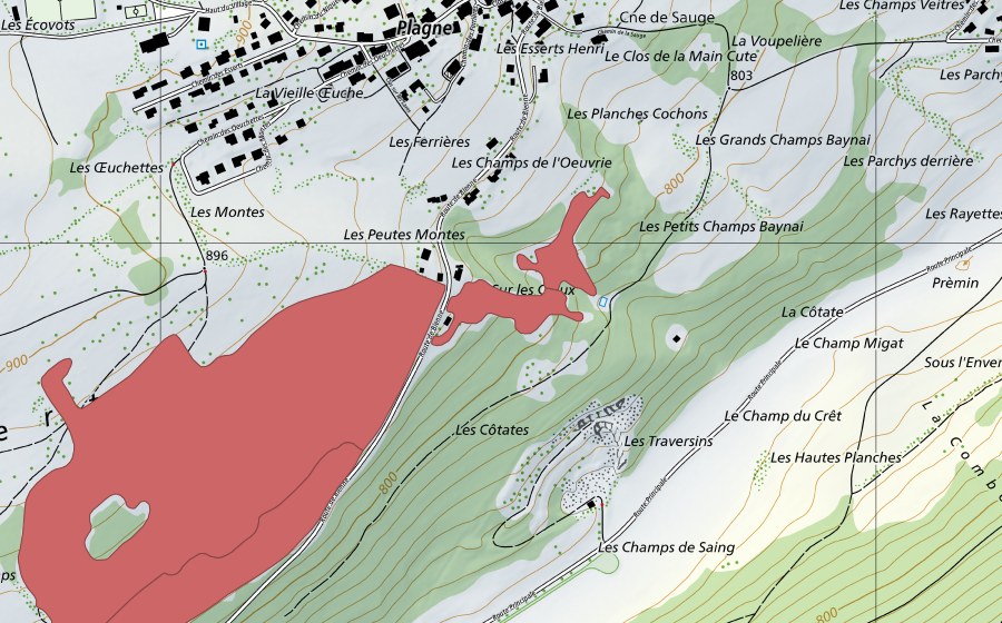 Landeskarte swisstopo mit dem Schutzperimeter von Pâturage des Esserts (Trockenwiese)