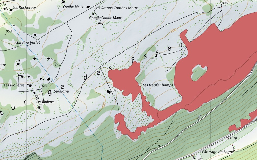 swisstopo national map showing the protected perimeter of Pâturage des Esserts (Dry meadow)