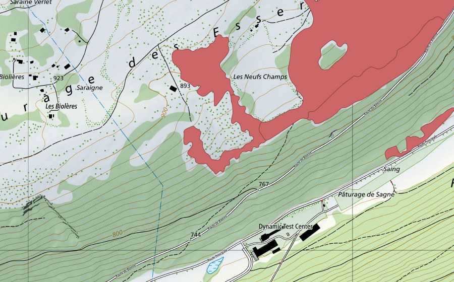 Landeskarte swisstopo mit dem Schutzperimeter von Pâturage des Esserts (Trockenwiese)