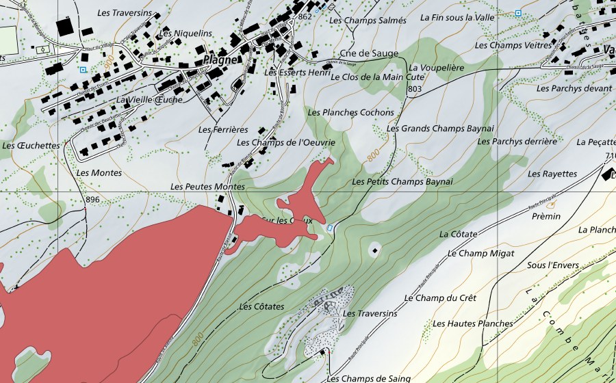 Landeskarte swisstopo mit dem Schutzperimeter von Pâturage des Esserts (Trockenwiese)