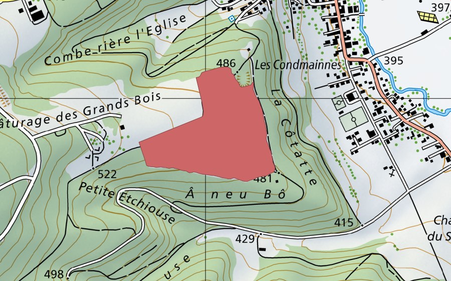 swisstopo national map showing the protected perimeter of Pâturage des Grands Bois (Dry meadow)