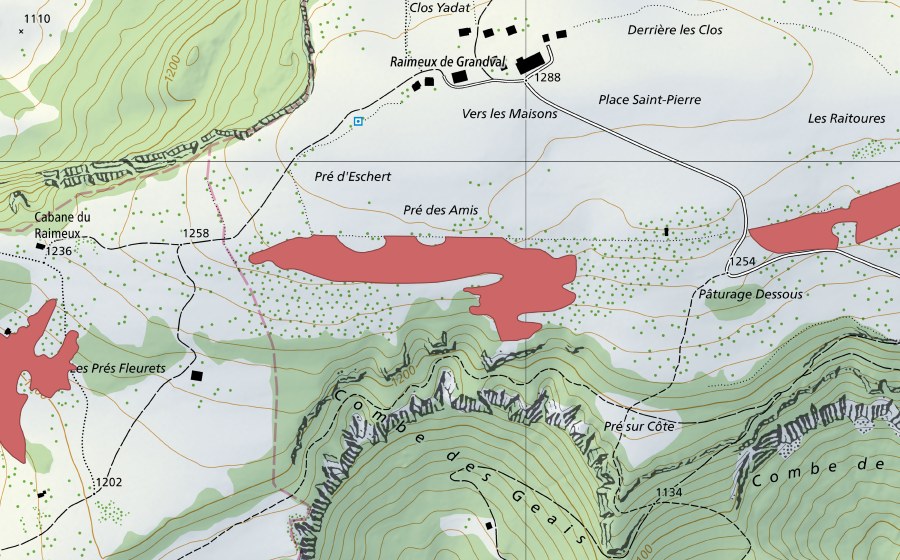 Landeskarte swisstopo mit dem Schutzperimeter von Pâturage Dessous (Trockenwiese)
